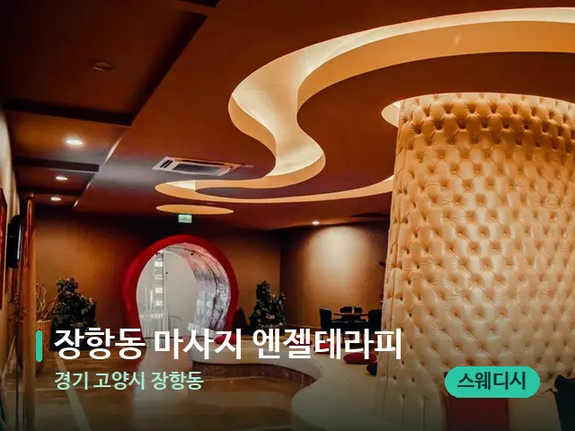 경기 고양시 장항동 장항동 마사지 엔젤테라피 — 웰니스 스파 공간