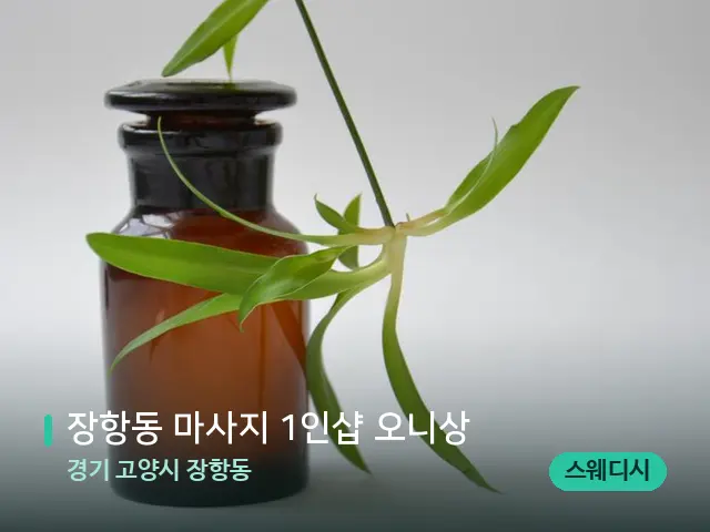 경기 고양시 장항동 장항동 마사지 1인샵 오니상 — 아로마 오일을 쓰는 관리 장면