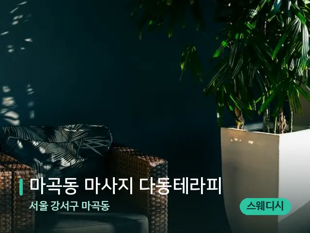 서울 강서구 마곡동 마곡동 마사지 다동테라피 — 데이 스파 인테리어