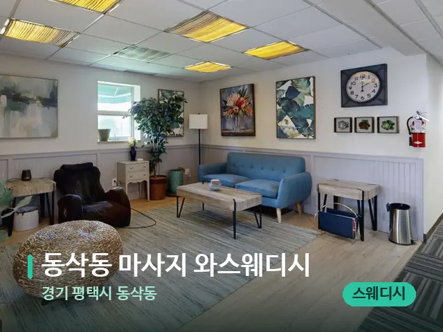 경기 평택시 동삭동 동삭동 마사지 와스웨디시 — 데이 스파 인테리어