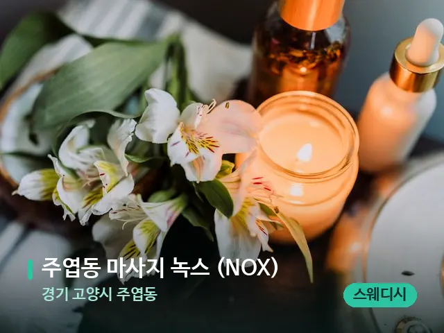 경기 고양시 주엽동 주엽동 마사지 녹스 (NOX) — 아로마 오일을 쓰는 관리 장면