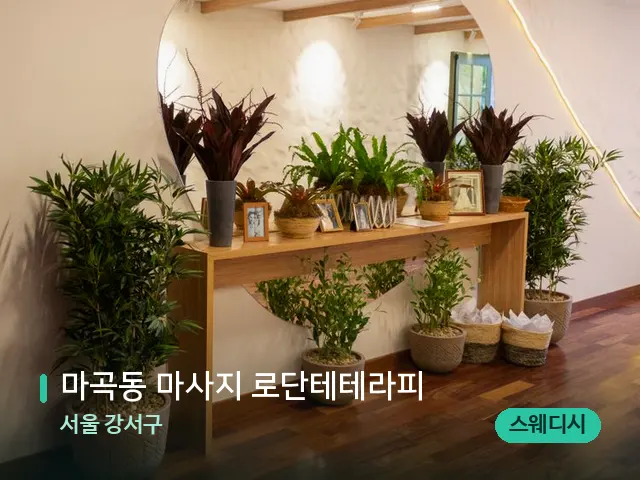 서울 강서구 마곡동 마사지 로단테테라피 — 데이 스파 인테리어