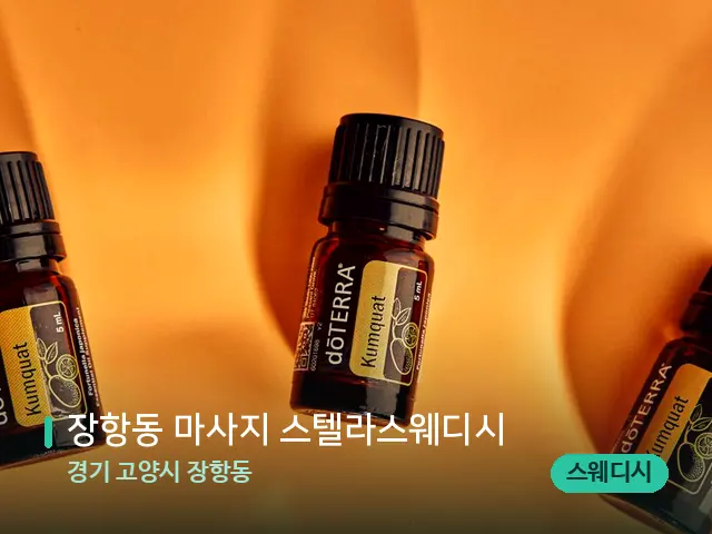 경기 고양시 장항동 장항동 마사지 스텔라스웨디시 — 아로마 오일을 쓰는 관리 장면