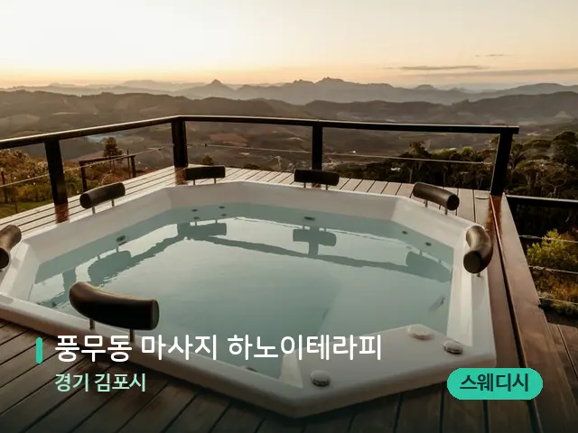 경기 김포시 풍무동 마사지 하노이테라피 — 웰니스 스파 공간