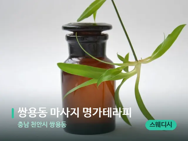 충남 천안시 쌍용동 쌍용동 마사지 명가테라피 — 아로마 오일을 쓰는 관리 장면