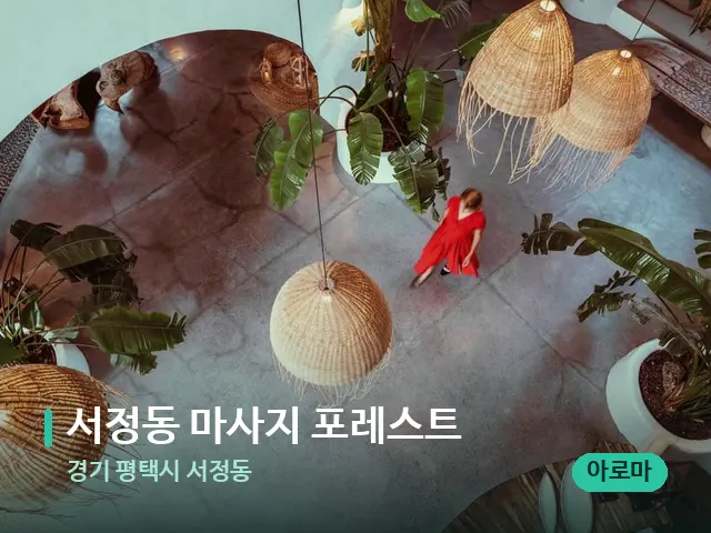 경기 평택시 서정동 서정동 마사지 포레스트 — 데이 스파 인테리어