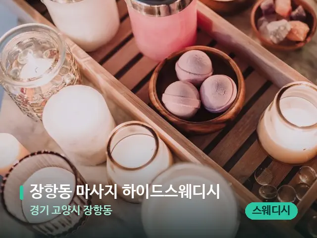 경기 고양시 장항동 장항동 마사지 하이드스웨디시 — 데이 스파 인테리어
