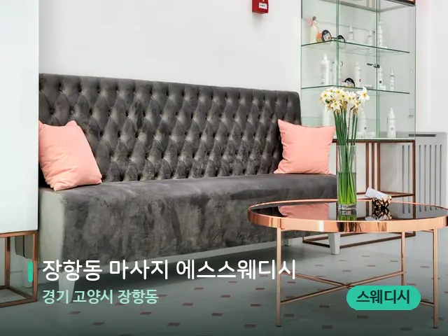 경기 고양시 장항동 장항동 마사지 에스스웨디시 — 데이 스파 인테리어
