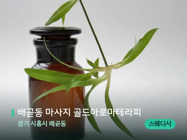 경기 시흥시 배곧동 배곧동 마사지 골드아로마테라피 — 아로마 오일을 쓰는 관리 장면