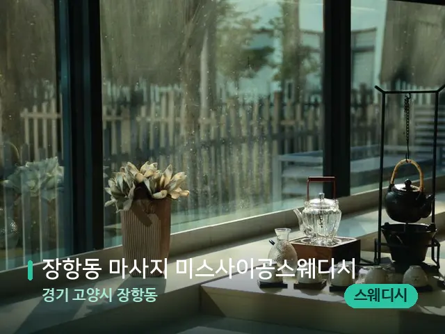 경기 고양시 장항동 장항동 마사지 미스사이공스웨디시 — 데이 스파 인테리어