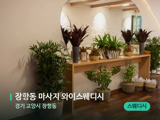 경기 고양시 장항동 장항동 마사지 와이스웨디시 — 데이 스파 인테리어