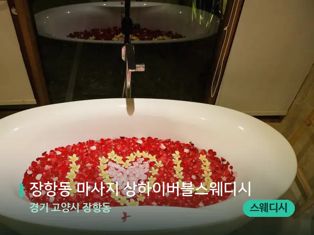 경기 고양시 장항동 장항동 마사지 상하이버블스웨디시 — 데이 스파 인테리어