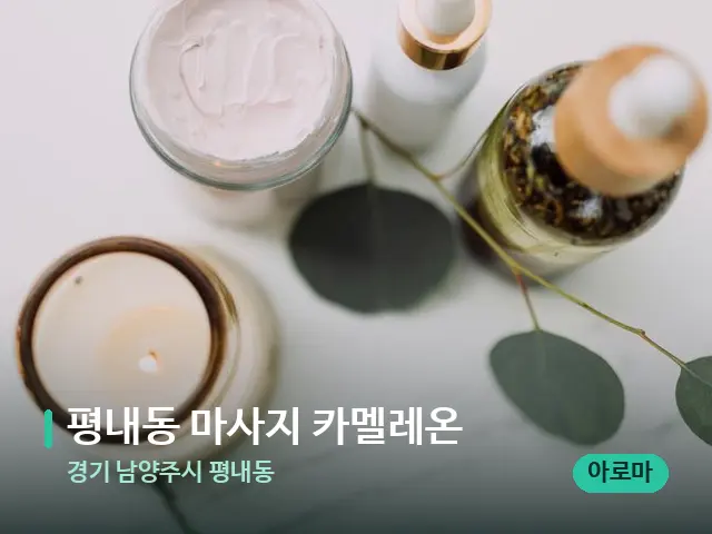 경기 남양주시 평내동 평내동 마사지 카멜레온 — 스파 마사지 베드