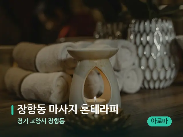 경기 고양시 장항동 장항동 마사지 혼테라피 — 스파 마사지 베드