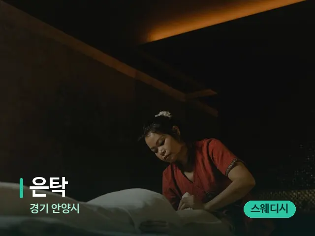경기 안양시 은탁 — 스파 마사지 베드
