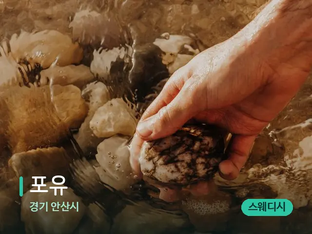 경기 안산시 포유 — 핫스톤을 올린 관리 장면