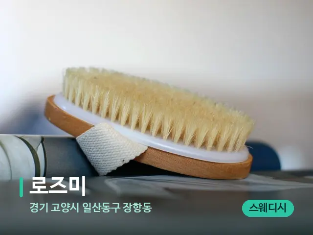 경기 고양시 일산동구 장항동 로즈미 — 스웨디시 오일 마사지 장면