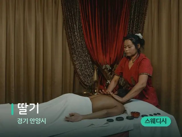 경기 안양시 딸기 — 스파 마사지 베드