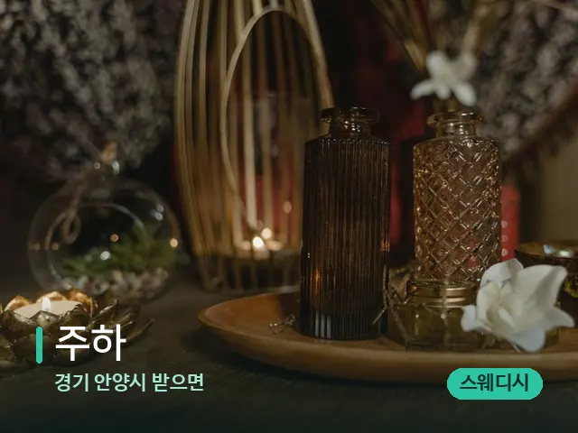 경기 안양시 받으면 주하 — 스파 마사지 베드