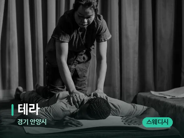 경기 안양시 테라 — 스파 마사지 베드