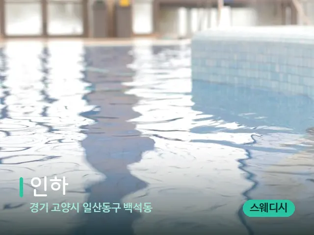 경기 고양시 일산동구 백석동 인하 — 웰니스 스파 공간