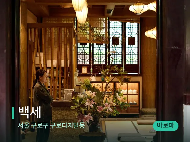 서울 구로구 구로디지털동 백세 — 데이 스파 인테리어