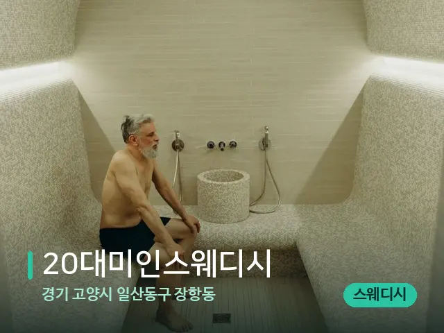 경기 고양시 일산동구 장항동 20대미인스웨디시 — 웰니스 스파 공간