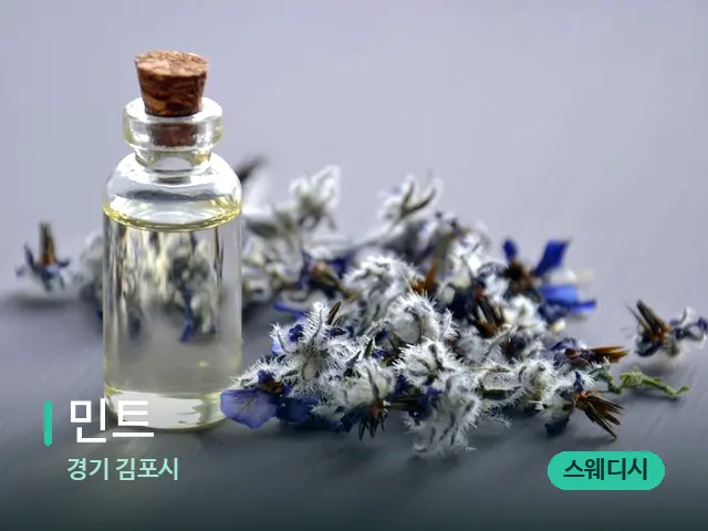 경기 김포시 민트 — 아로마 오일을 쓰는 관리 장면