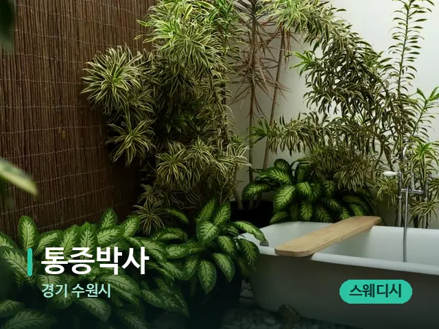 경기 수원시 통증박사 — 어깨·목 관리 장면