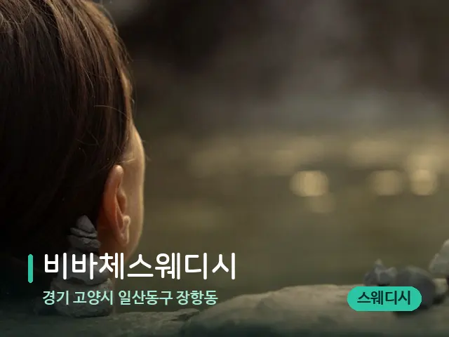 경기 고양시 일산동구 장항동 비바체스웨디시 — 웰니스 스파 공간