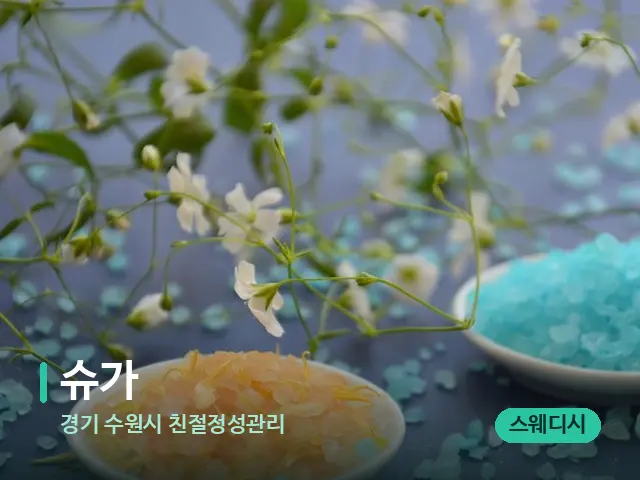 경기 수원시 친절정성관리 슈가 — 아로마 오일을 쓰는 관리 장면