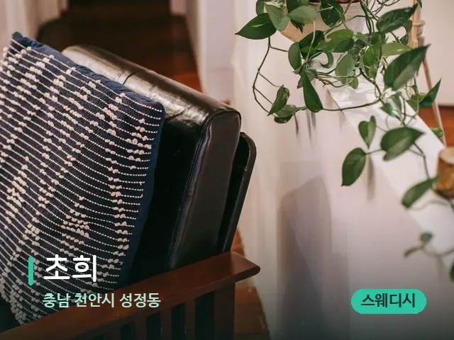 충남 천안시 성정동 초희 — 데이 스파 인테리어