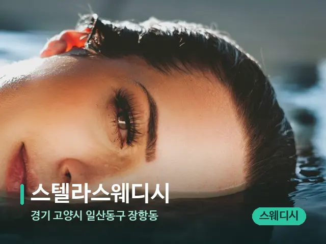 경기 고양시 일산동구 장항동 스텔라스웨디시 — 웰니스 스파 공간