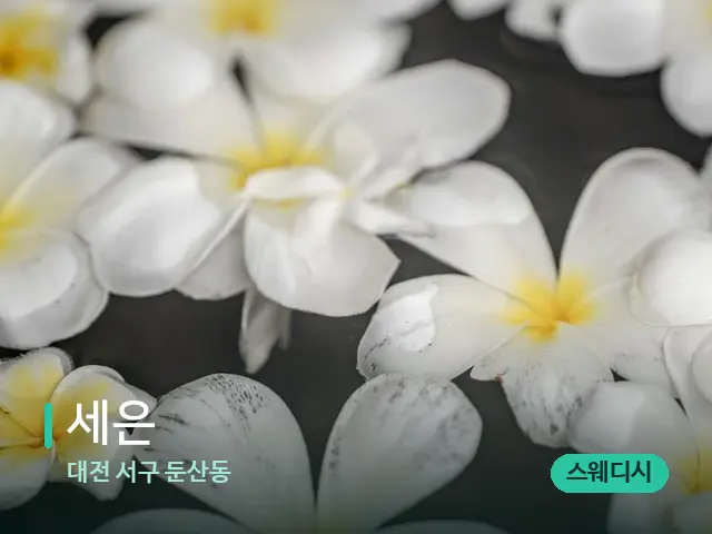 대전 서구 둔산동 세은 — 아로마 오일을 쓰는 관리 장면