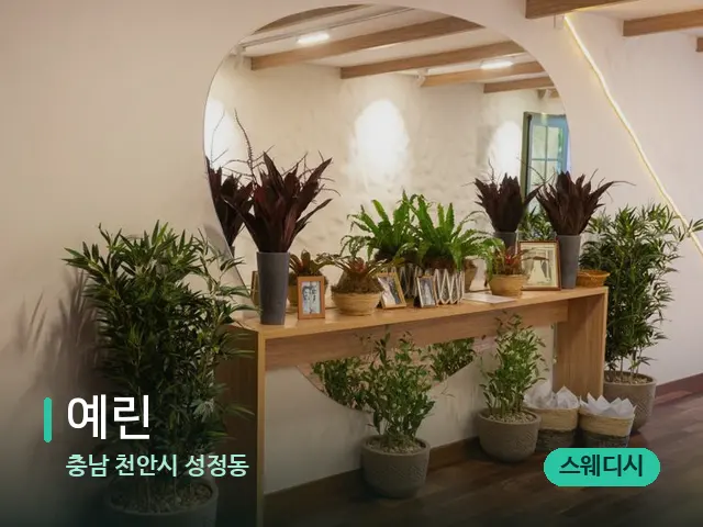 충남 천안시 성정동 예린 — 데이 스파 인테리어