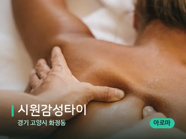경기 고양시 화정동 시원감성타이 — 마사지 관리를 받는 장면