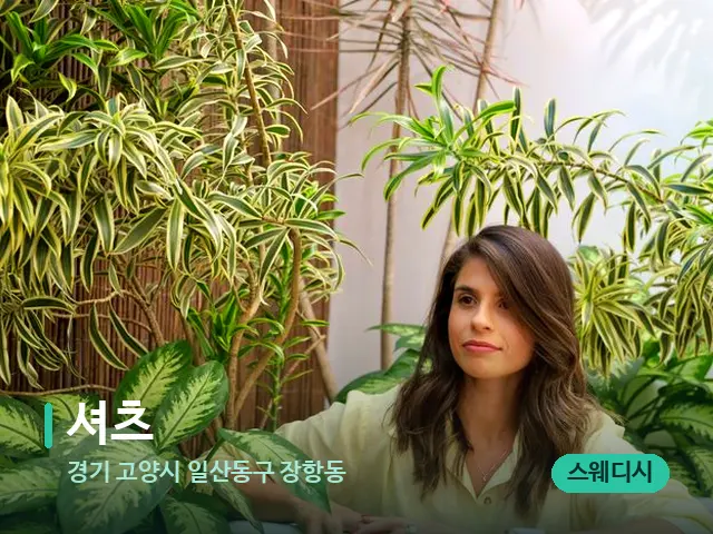 경기 고양시 일산동구 장항동 셔츠 — 웰니스 스파 공간