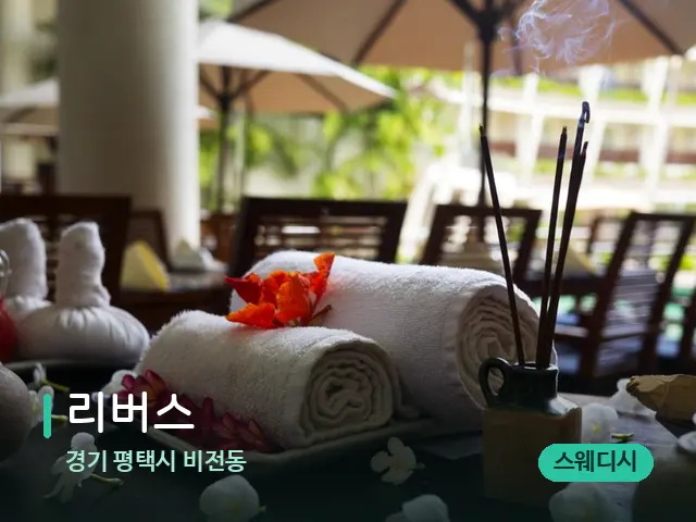 경기 평택시 비전동 리버스 — 스파 마사지 베드