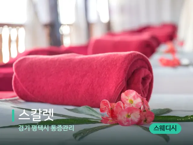 경기 평택시 통증관리 스칼렛 — 스파 마사지 베드