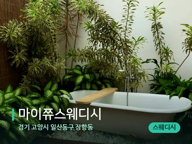 경기 고양시 일산동구 장항동 마이쮸스웨디시 — 웰니스 스파 공간