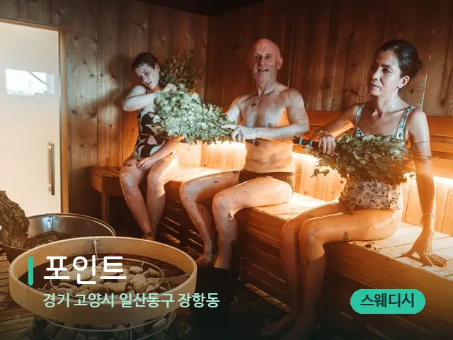 경기 고양시 일산동구 장항동 포인트 — 웰니스 스파 공간