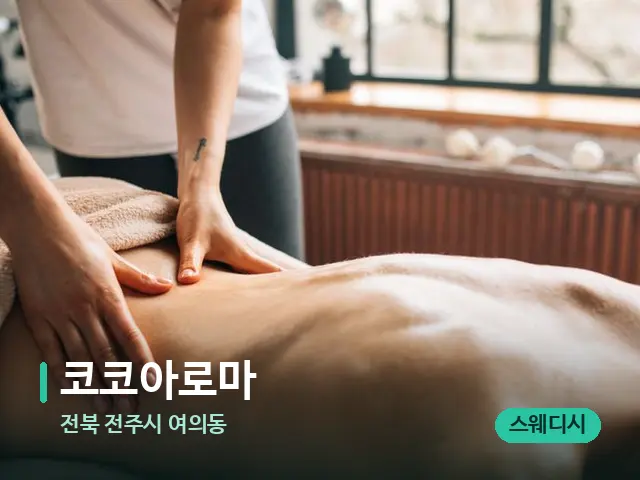 전북 전주시 여의동 코코아로마 — 마사지 관리를 받는 장면