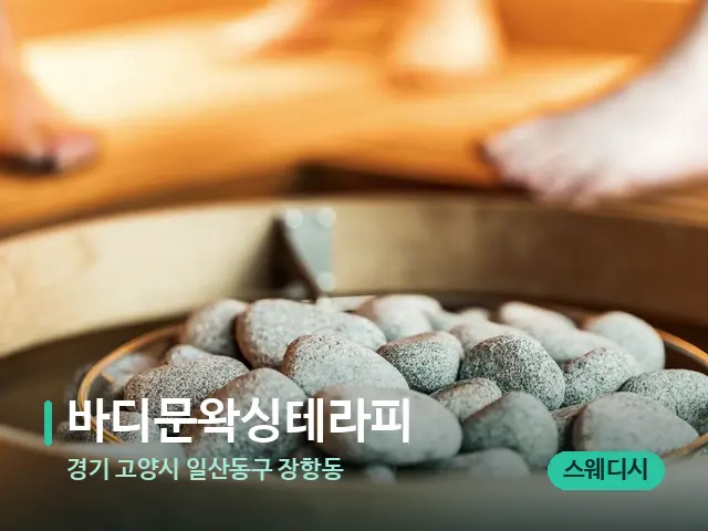 경기 고양시 일산동구 장항동 바디문왁싱테라피 — 웰니스 스파 공간