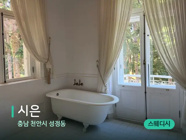 충남 천안시 성정동 시은 — 데이 스파 인테리어