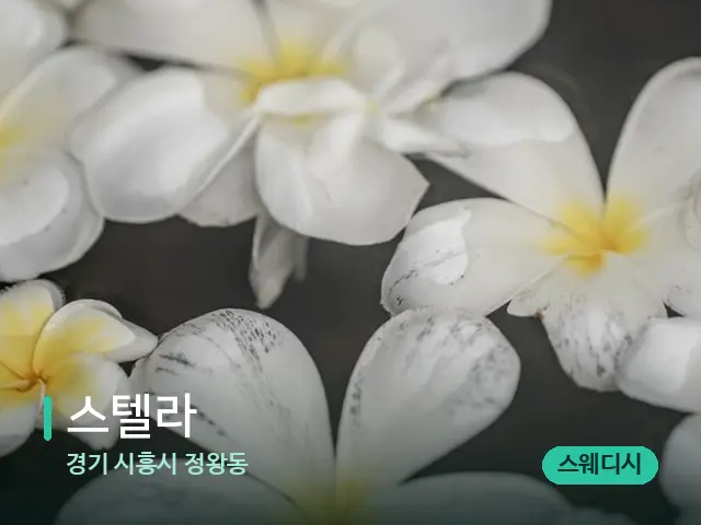 경기 시흥시 정왕동 스텔라 — 아로마 오일을 쓰는 관리 장면