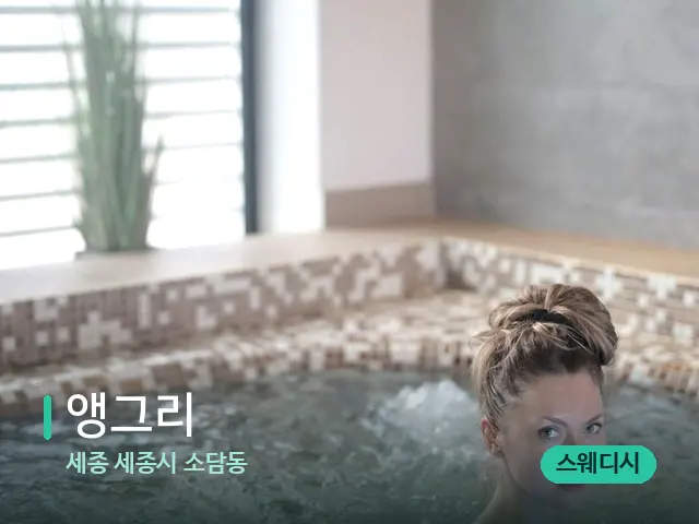 세종 세종시 소담동 앵그리 — 웰니스 스파 공간