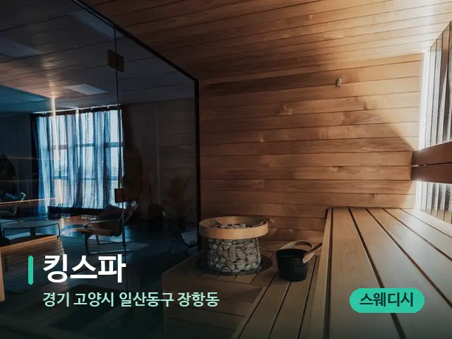 경기 고양시 일산동구 장항동 킹스파 — 웰니스 스파 공간