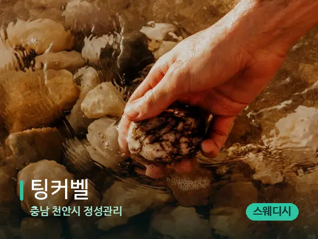 충남 천안시 정성관리 팅커벨 — 핫스톤을 올린 관리 장면