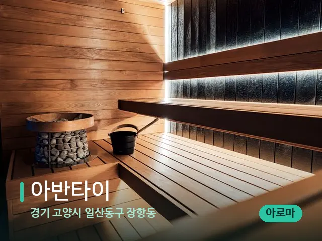 경기 고양시 일산동구 장항동 아반타이 — 웰니스 스파 공간