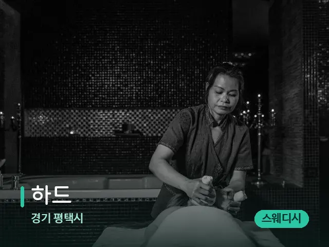 경기 평택시 하드 — 스파 마사지 베드